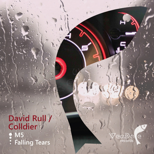 Falling Tears (Original Mix)