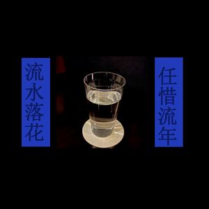 流水落花任惜流年