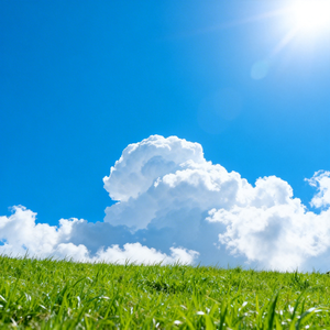 云栖月下（纯音乐）