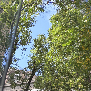 123Doremi（verse1）翻唱