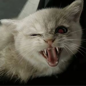 到底在为谁等待