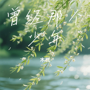 曾经那个少年