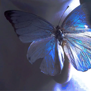 【 Free 】Trap Beat ' money mind '