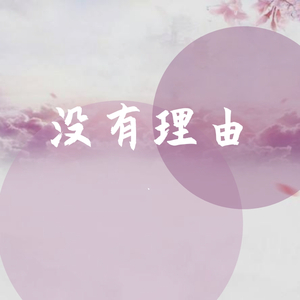 没有理由