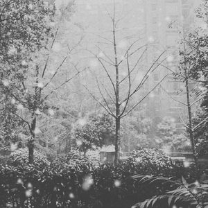 Snow