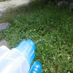 現実から逃げないで