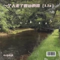 一个人走了很远的路 (1.1X)