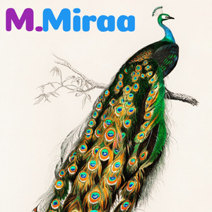 ऊपर बादलों के ऊपर प्रकाश झिलमिलाते हैं