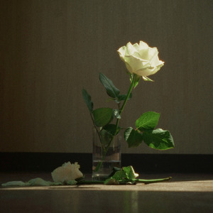 薔薇の淵まで