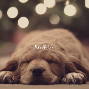 Fun Workspaces (Memories)