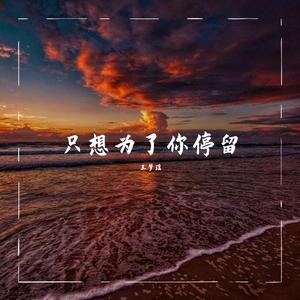 只想为了你停留