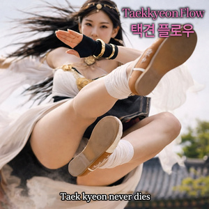 Taekkyeon Flow (택견 플로우)