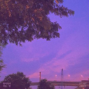 밤이라서 하는 말