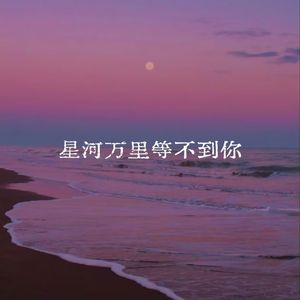 星河万里等不到你