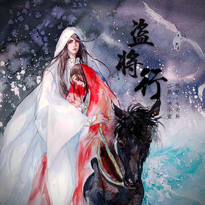 【琵琶×二胡】盗将行