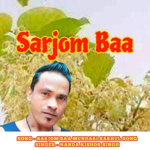SARJOM BAA MUNDARI SARHUL SONG.mp3
