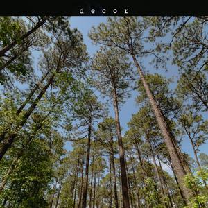 decor