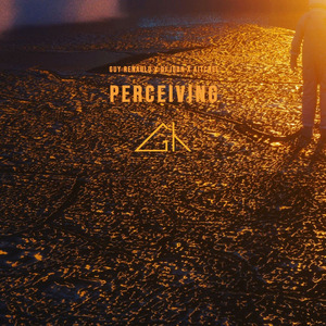 Perceiving