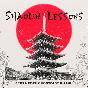 SHAOLIN LESSONS (feat. Ghostface Killah)