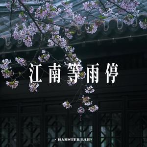 江南等雨停 (R&B氛围男声)