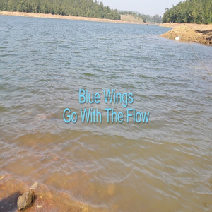 Go with the Flow