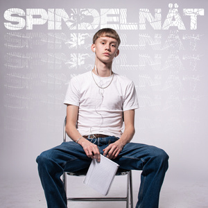 Spindelnät