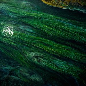 想见面的人总会见面