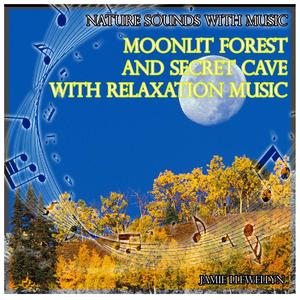 Nature Sounds with Music: Moonlit Forest and Secret Cave with Relaxation Music