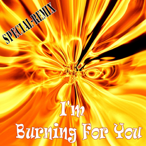 I'm Burning for You (Mr. Funky Mix)