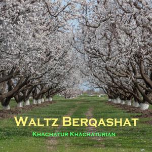 Waltz Berqashat