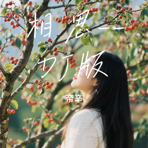 相思--DJ版