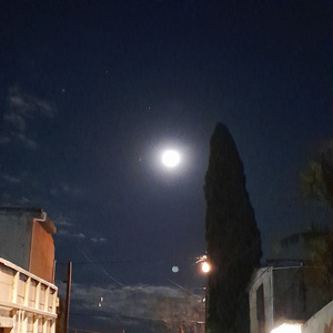 Volvimos (Remastered 2024)