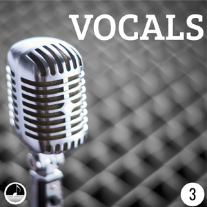 Flapper's Foxtrot v1 (FullMix)