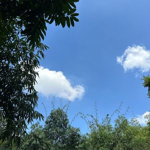 逆转时空只为遇见你