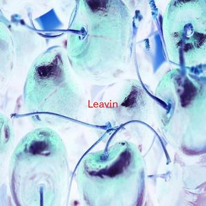 Leavin' (Tribute version originally performed by Jesse McCartney)