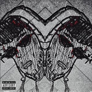 NOT FOR YOU (feat. Zaybo)