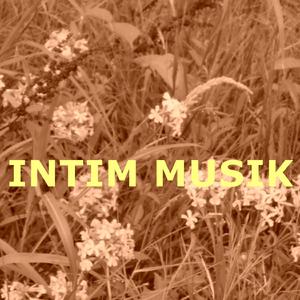 Intim Musik