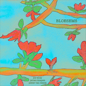 Zon (feat. Pieter Van Dessel)