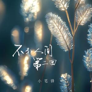不赴人间第二回