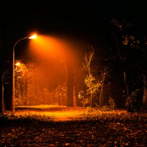 Fall