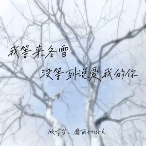 我等来冬雪没等到说爱我的你