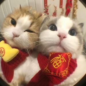 生死相随(DJ鑫鑫)