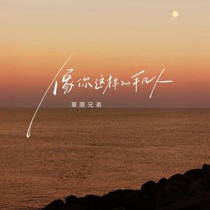 像你这样的平凡人(DJ版)