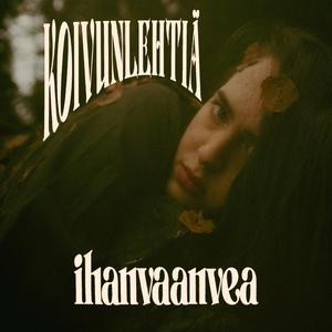 koivunlehtiä