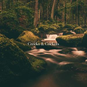 Creeks & Crickets