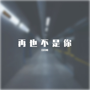 再也不是你