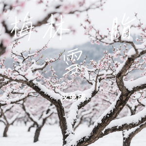 梅林胭脂雪