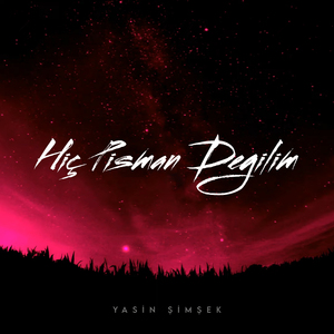 Hiç Pişman Değilim (Remix)