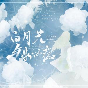 白月光与朱砂痣