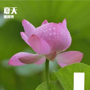 牵丝戏(新版)（翻自 不只中二）